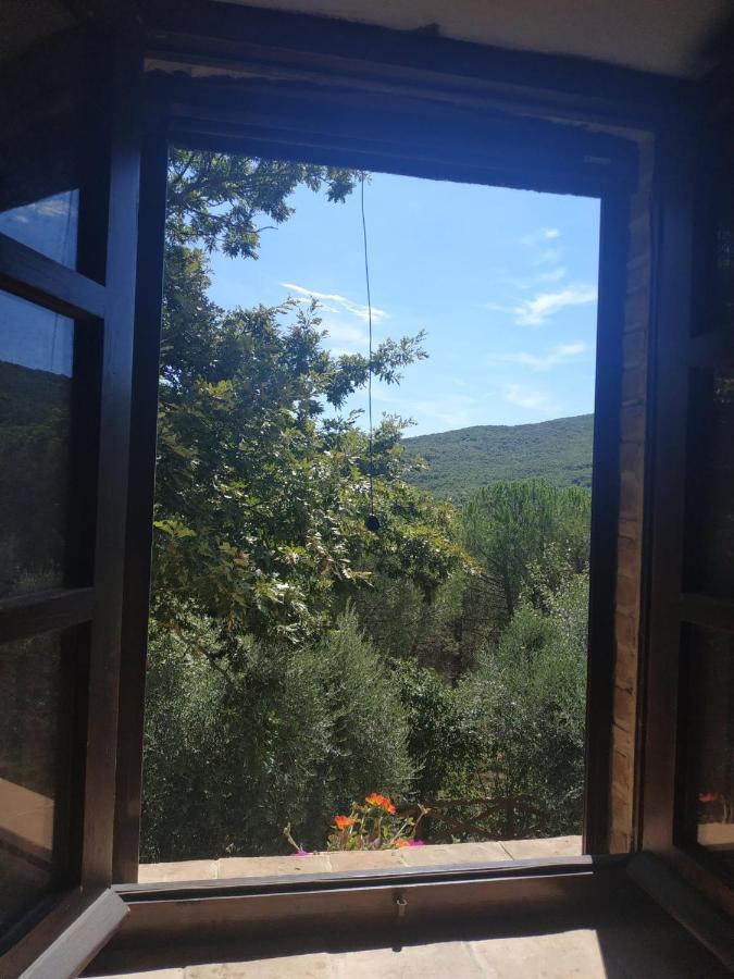 Agriturismo La Provenca Chianciano Terme Eksteriør billede