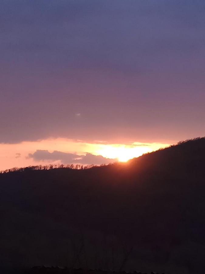 Agriturismo La Provenca Chianciano Terme Eksteriør billede