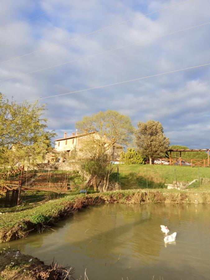 Agriturismo La Provenca Chianciano Terme Eksteriør billede