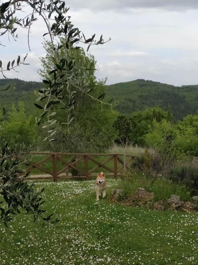 Agriturismo La Provenca Chianciano Terme Eksteriør billede