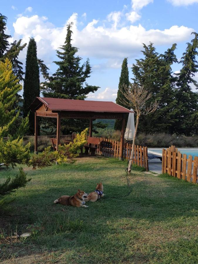 Agriturismo La Provenca Chianciano Terme Eksteriør billede