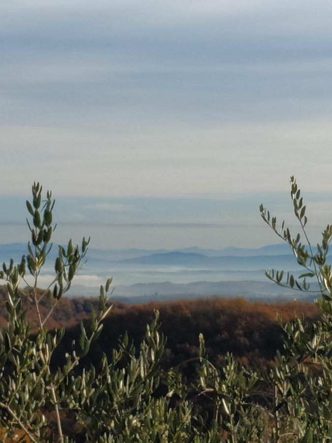 Agriturismo La Provenca Chianciano Terme Eksteriør billede