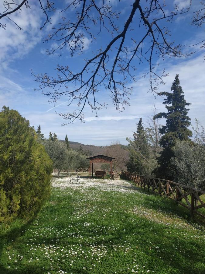 Agriturismo La Provenca Chianciano Terme Eksteriør billede