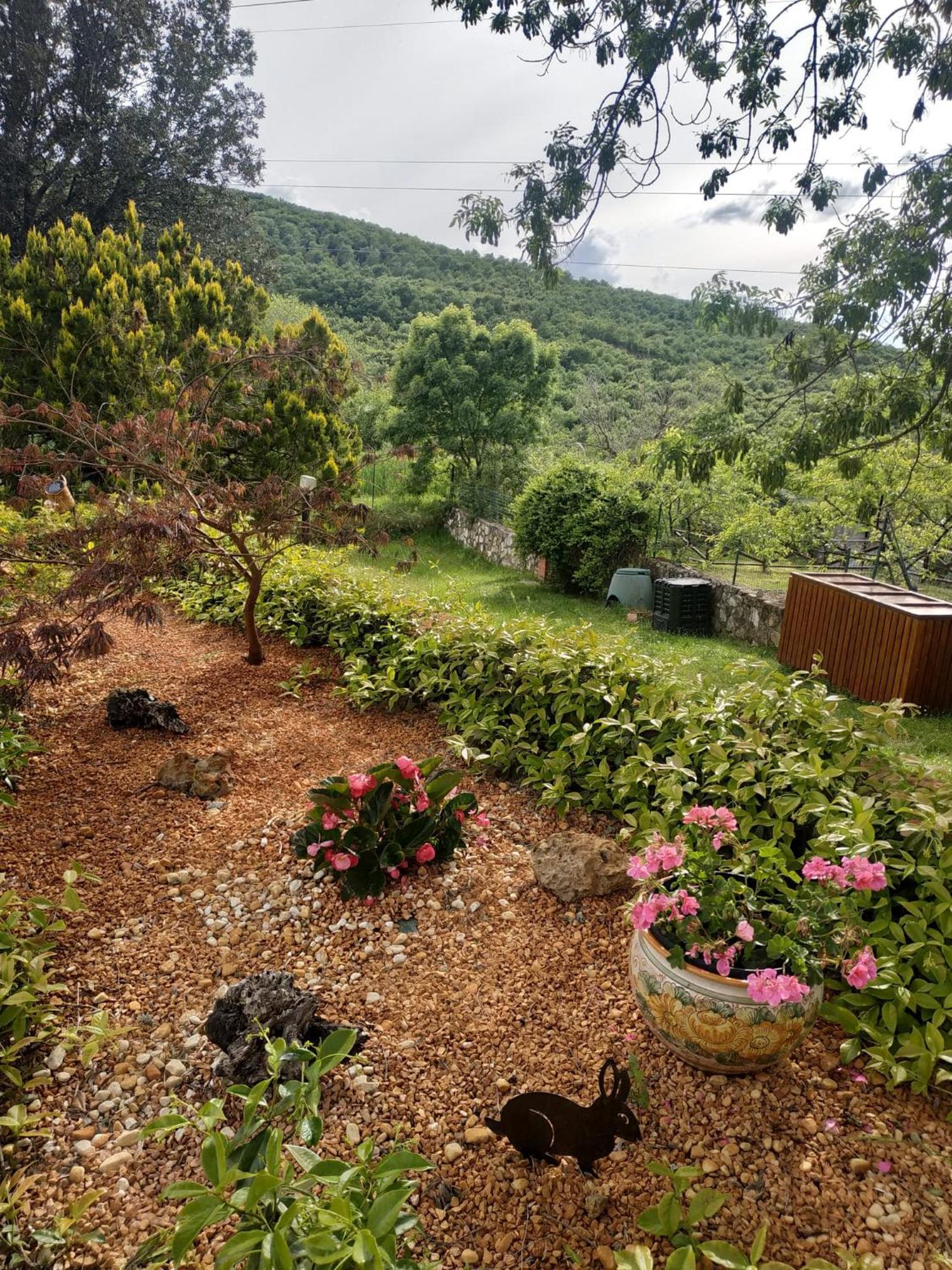 Agriturismo La Provenca Chianciano Terme Eksteriør billede