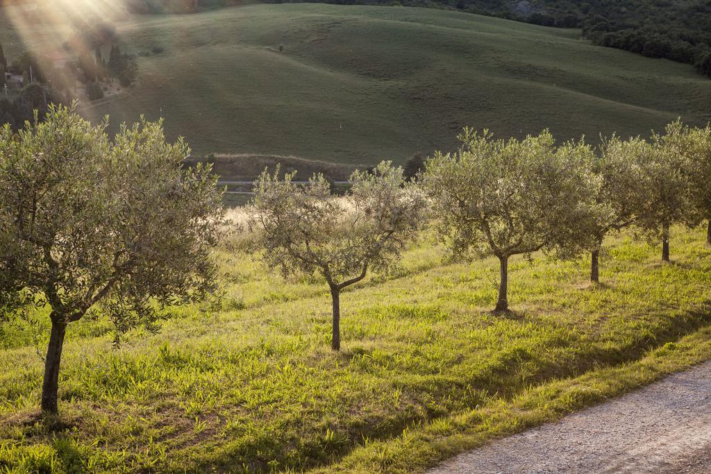 Agriturismo La Provenca Chianciano Terme Eksteriør billede