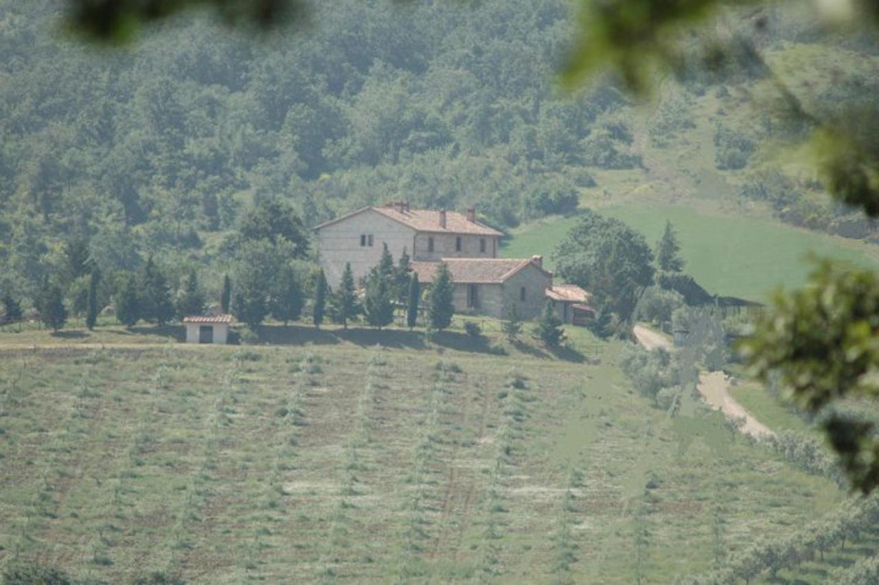 Agriturismo La Provenca Chianciano Terme Eksteriør billede